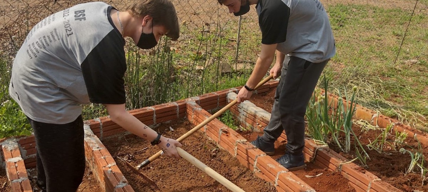 Alunos da Escola Benvenuta Sebben Fontana desenvolvem projeto voltado ao plantio de hortaliças e legumes
